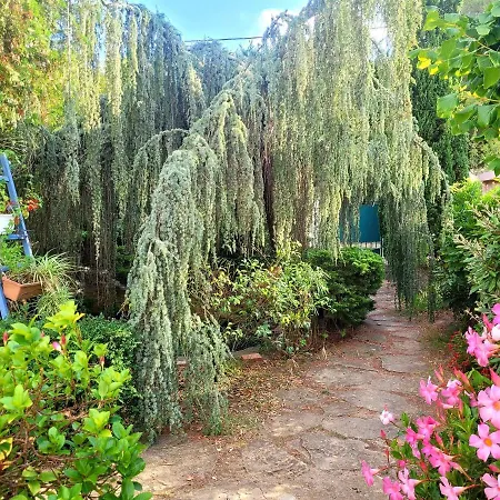 Rdc De De 35 M2 - 400 M Six-Fours-les-Plages